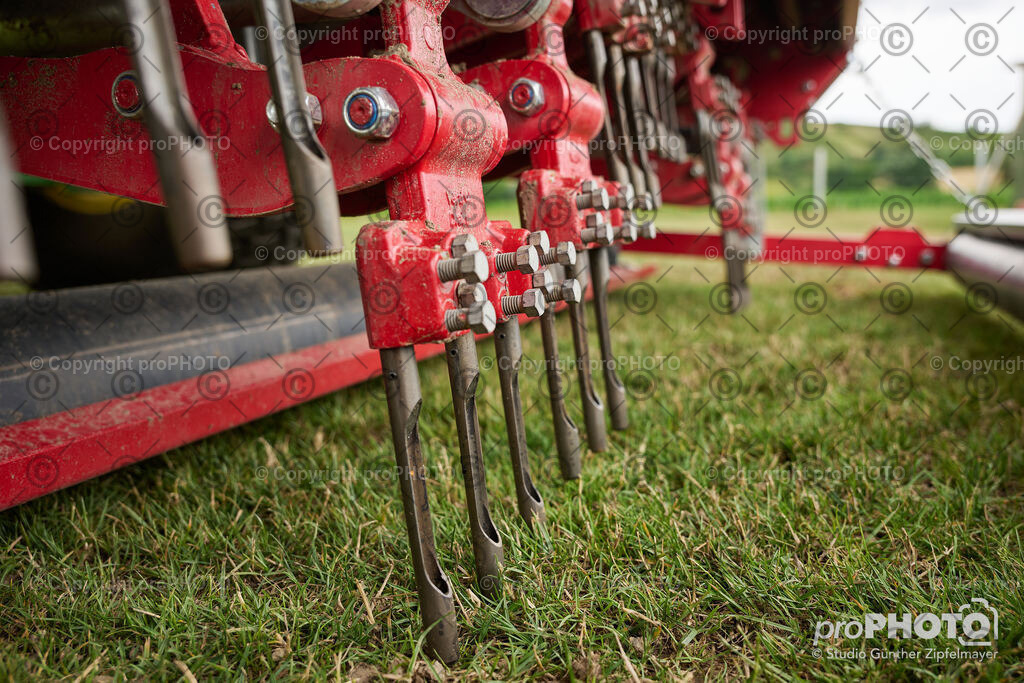 202507_Rernböck-Rasen_NZ9_1034 | proPHOTO - Realisiert mit Pictrs.com