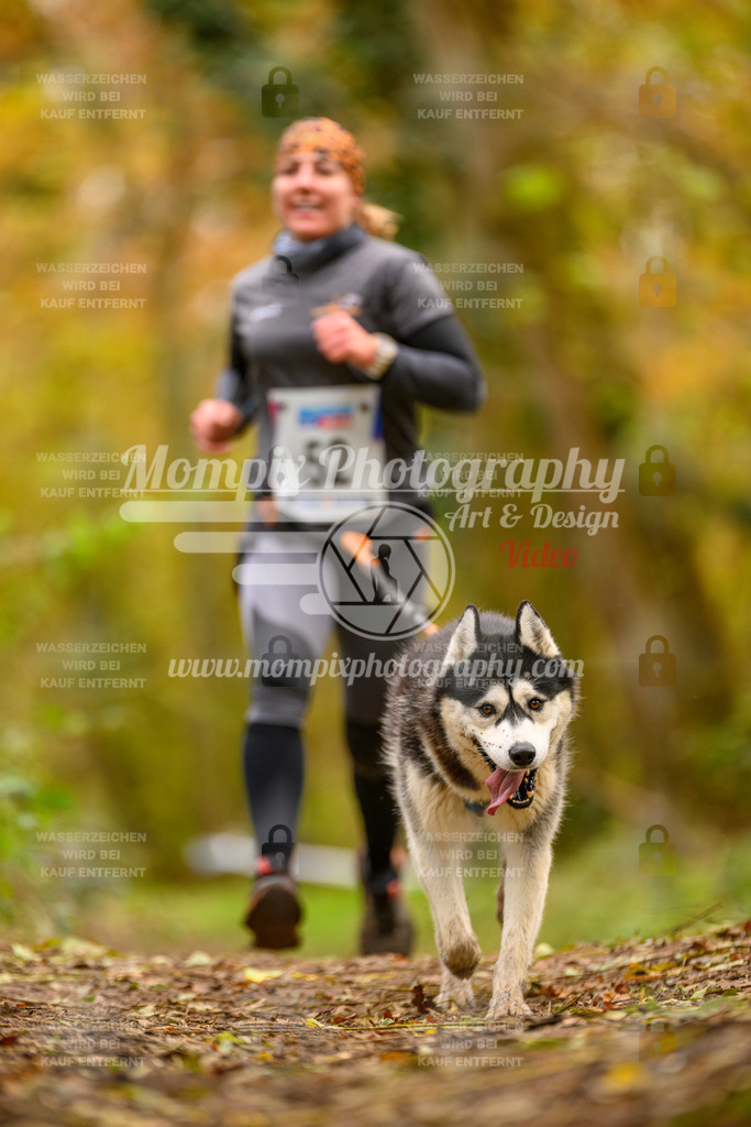 MompixPhotography_Bischwiller24_SA_Canicross-50 | PayLife