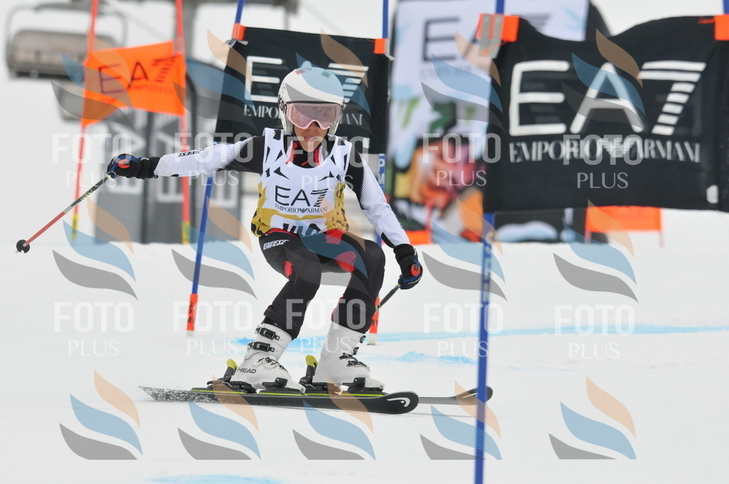 DSC_8364 | holidayphoto