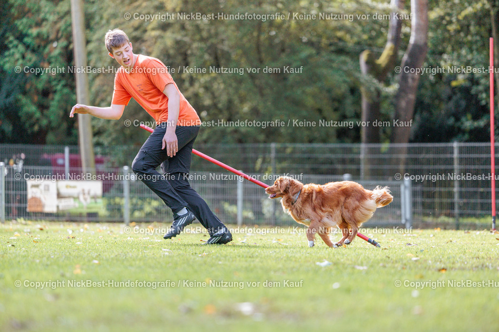 THS-HSV-Blumenthal-2026-Nickbest-Hundefotografie-3009 | Dein Hund! Dein Moment! Deine Erinnerungen! Hundefotografie in Bremen Blumenthal. Ich fange die besonderen Momente deines Vierbeiners ein – ob Indoor mit Blitzanlage oder in der freien Natur. Sicher dir dein Moment und dein Termin für eure Erinnerungen.