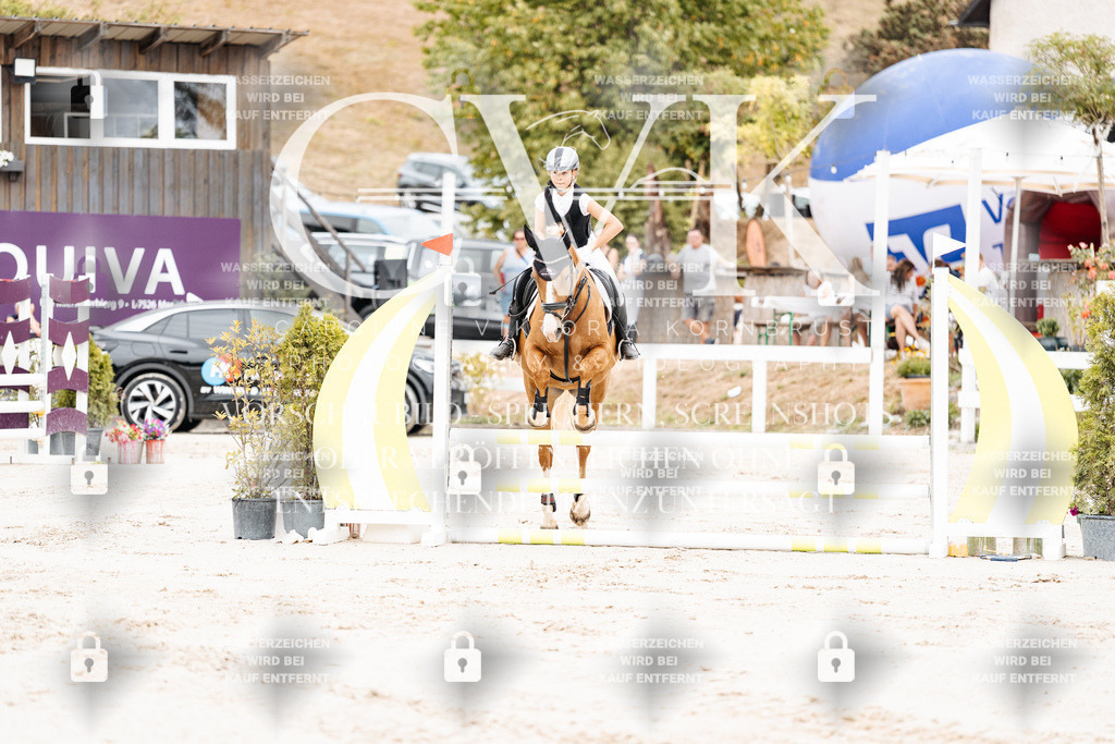 CK907818 | Turnierfotografie Pferdefotografie Trier Rheinland-Pfalz Pferdesport Reitsport Tierfotografie Sportfotografie Pferdevideo Pferdevideografie Equestrianvideography equestrianphotography  - Realisiert mit Pictrs.com
