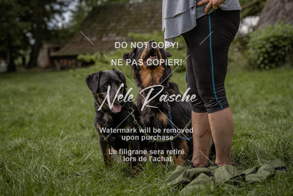nelerasche_DoN_90 | nelerasche