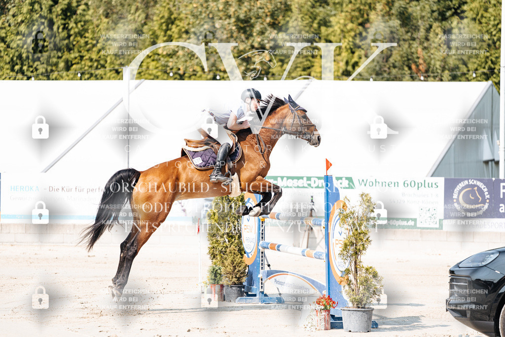 CK902006 | Turnierfotografie Pferdefotografie Trier Rheinland-Pfalz Pferdesport Reitsport Tierfotografie Sportfotografie Pferdevideo Pferdevideografie Equestrianvideography equestrianphotography  - Realisiert mit Pictrs.com