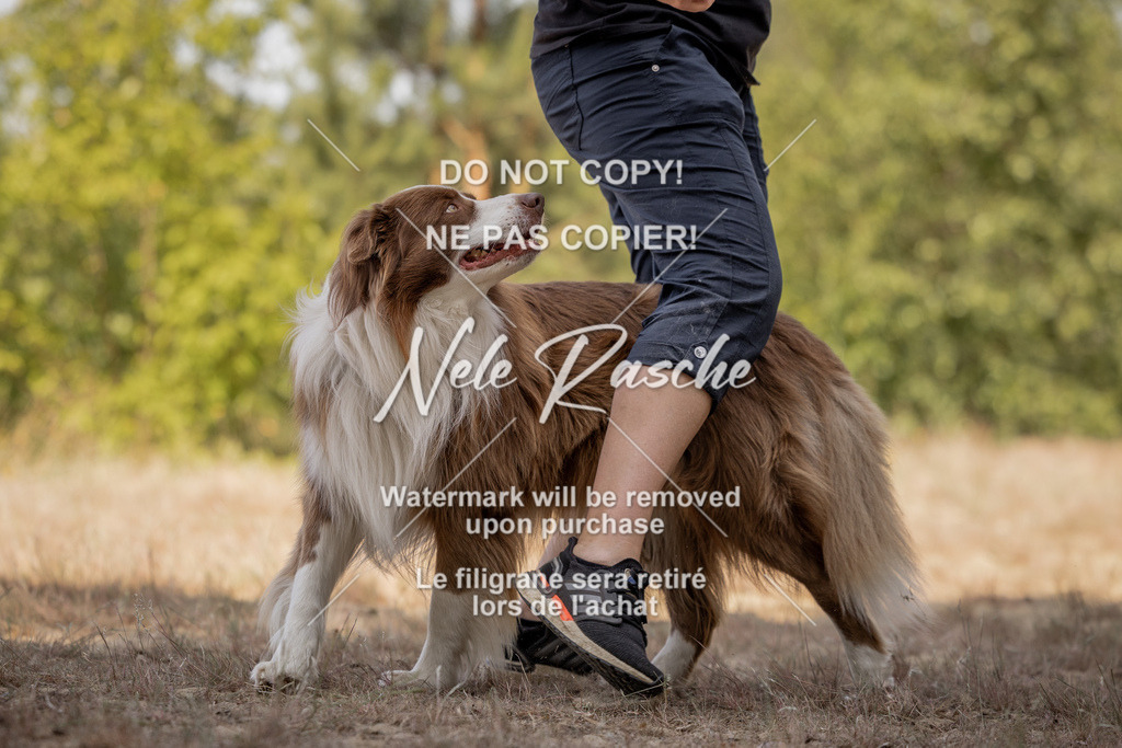 nelerasche_soDD2_151 | nelerasche