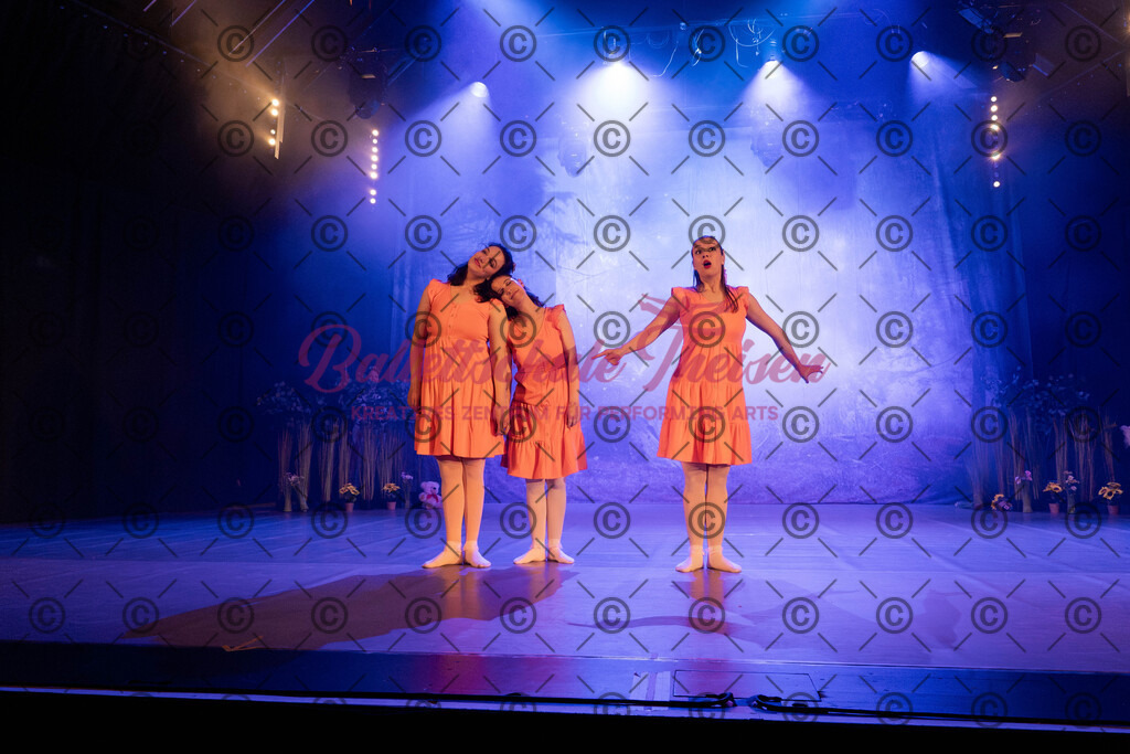 Ballettaufführung-1066 | Bildershop Lem'n Entertainment - Realisiert mit Pictrs.com