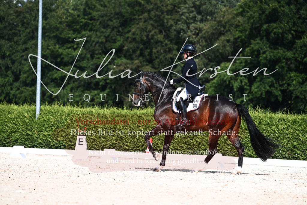 DSC_3386 | Pferde- und Turnierfotografie in Westsachsen. Pferdeportraits, Auftragszeichnungen und intuitive Kunst.