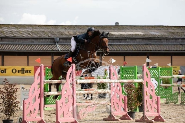 2B4A3670 | pixelfaenger - Realisiert mit Pictrs.com