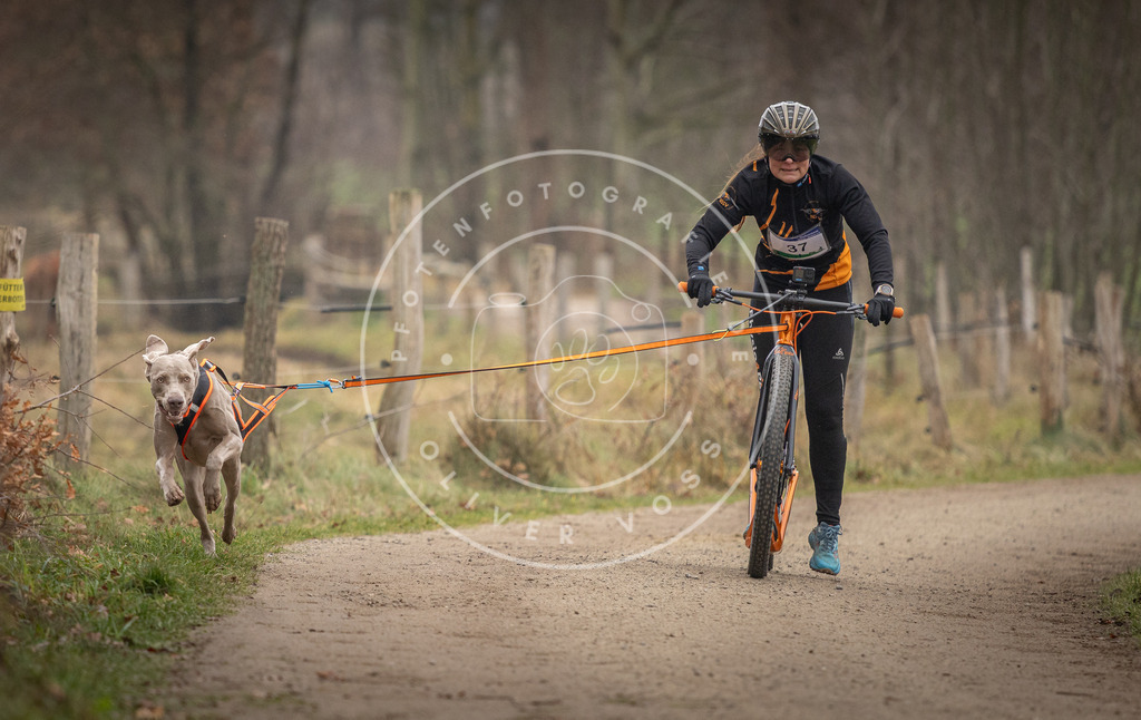 Pfotenfotografie_DV3A2453 | Hundefotografie, Tierfotograf, Pfotenfotografie, Fotoshooting Hund, Hunde Portrait, Hundesport, Hundeportraits, Heideshooting, Hunde, Sportfotograf, Hundefotograf, Turnierhundsport, THS,  - Realisiert mit Pictrs.com