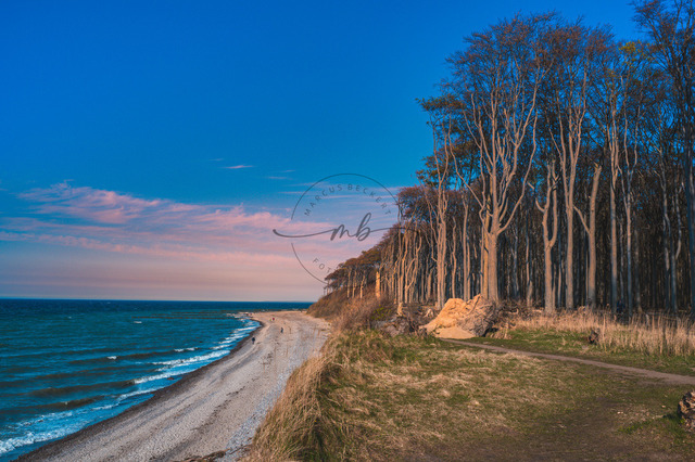 Gespensterwald an der Ostsee | Professionelle Natur- & Landschaftsfotos als Poster, auf Leinwand & viele mehr. Wähle aus einer Vielzahl an Formaten & Materialien Dein perfektes Bild. - Realisiert mit Pictrs.com