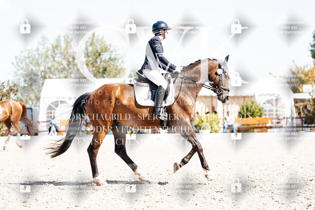 CK903928 | Turnierfotografie Pferdefotografie Trier Rheinland-Pfalz Pferdesport Reitsport Tierfotografie Sportfotografie Pferdevideo Pferdevideografie Equestrianvideography equestrianphotography  - Realisiert mit Pictrs.com