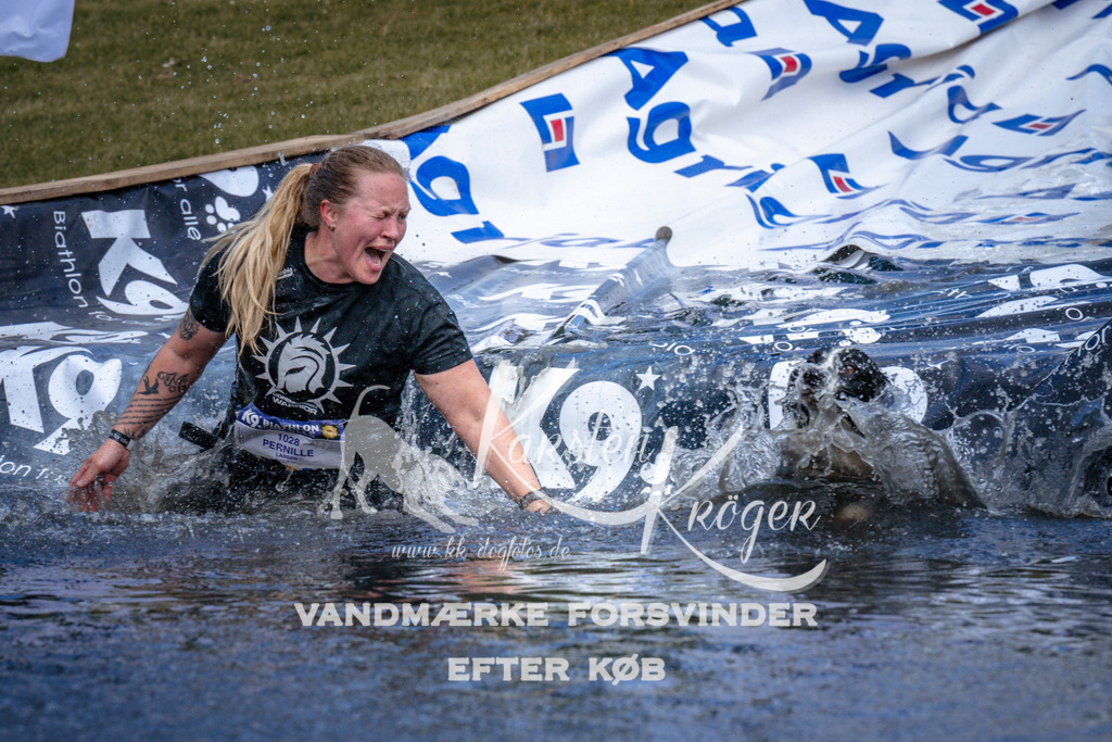 _ZZ943380956 | kk-dogfotos