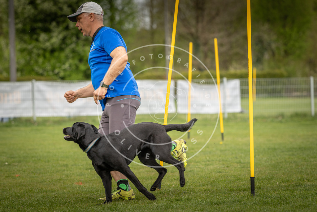 Pfotenfotografie_DV3A7235 | Hundefotografie, Tierfotograf, Pfotenfotografie, Fotoshooting Hund, Hunde Portrait, Hundesport, Hundeportraits, Heideshooting, Hunde, Sportfotograf, Hundefotograf, Turnierhundsport, THS,  - Realisiert mit Pictrs.com