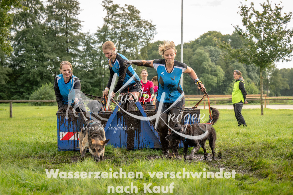 1043_ZZ92037 | kk-dogfotos