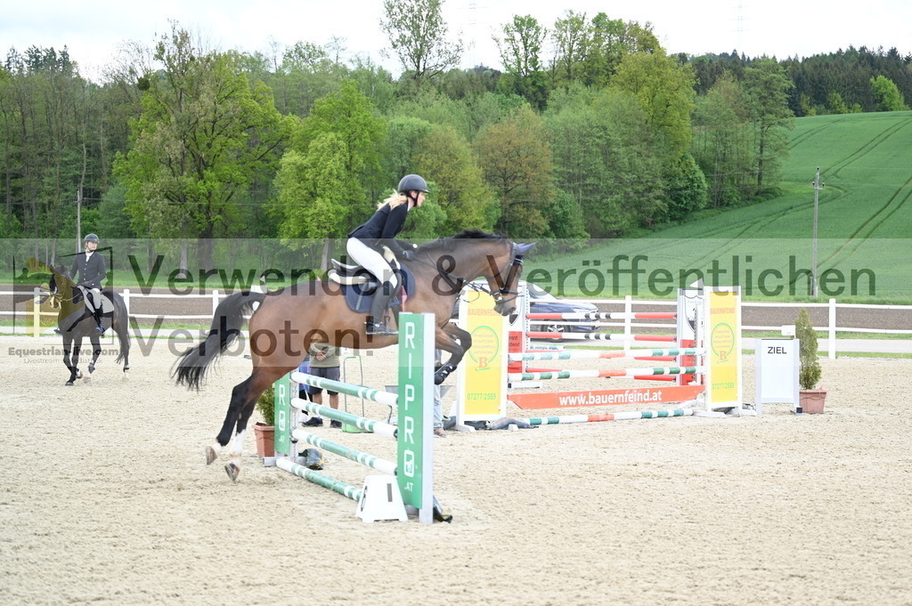 DSC_0710 | equestrian-live-com