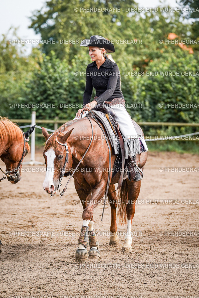 DSC09788 | Pferdegrafie