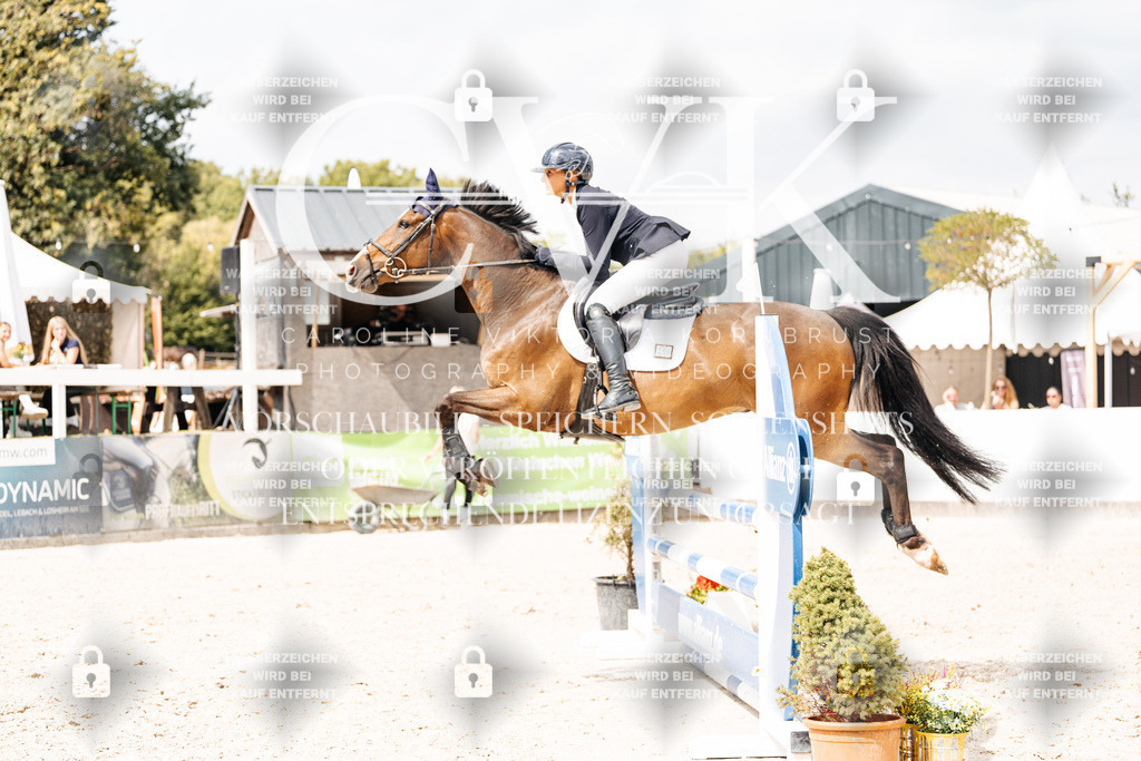 CK909271 | Turnierfotografie Pferdefotografie Trier Rheinland-Pfalz Pferdesport Reitsport Tierfotografie Sportfotografie Pferdevideo Pferdevideografie Equestrianvideography equestrianphotography  - Realisiert mit Pictrs.com