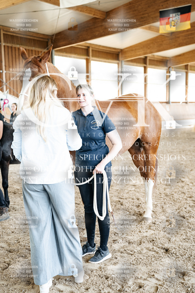 CK703255 | Turnierfotografie Pferdefotografie Trier Rheinland-Pfalz Pferdesport Reitsport Tierfotografie Sportfotografie Pferdevideo Pferdevideografie Equestrianvideography equestrianphotography  - Realisiert mit Pictrs.com