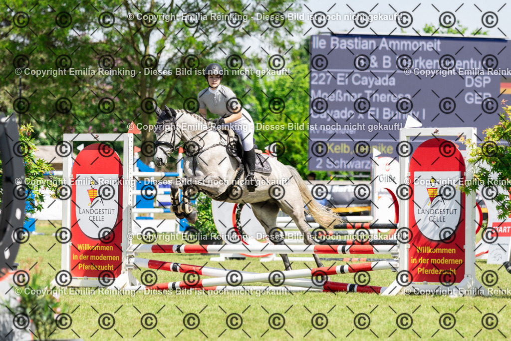 CL5A0076 | Emilia Reinking Fotografie - Realisiert mit Pictrs.com