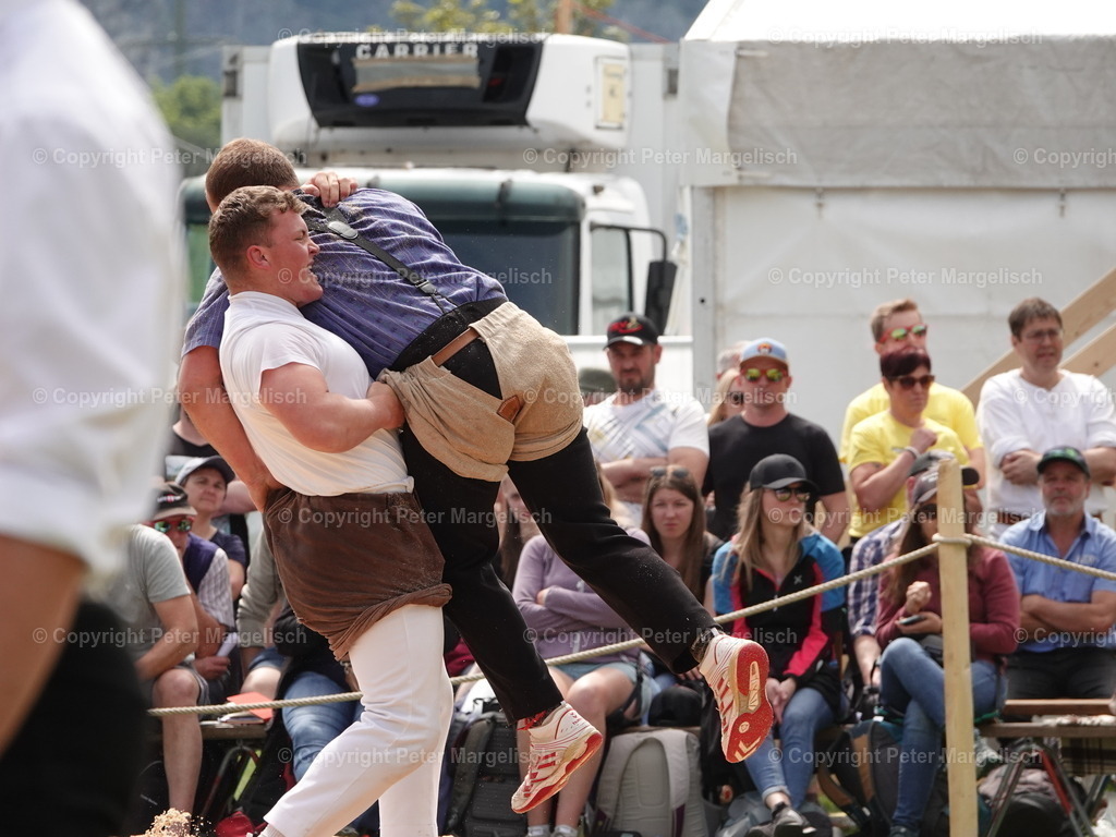 DSC07424 | Schwingen - Realisiert mit Pictrs.com