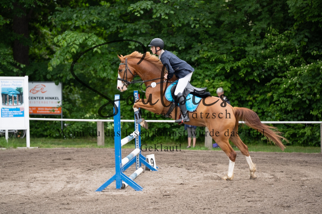 A7V03910 | Pferdefotograf