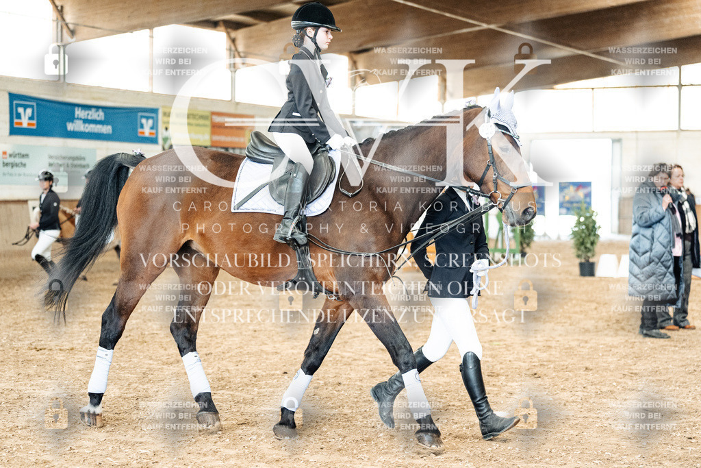 CK905833 | Turnierfotografie Pferdefotografie Trier Rheinland-Pfalz Pferdesport Reitsport Tierfotografie Sportfotografie Pferdevideo Pferdevideografie Equestrianvideography equestrianphotography  - Realized with Pictrs.com