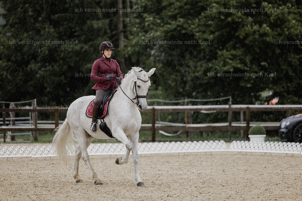Kelly4_FHC2025-24735 | working equitationturnier fotograf videograf stoibphotography marixx film working equitation deutschland reitsport turnierfotografie eventfotografie equestrian events