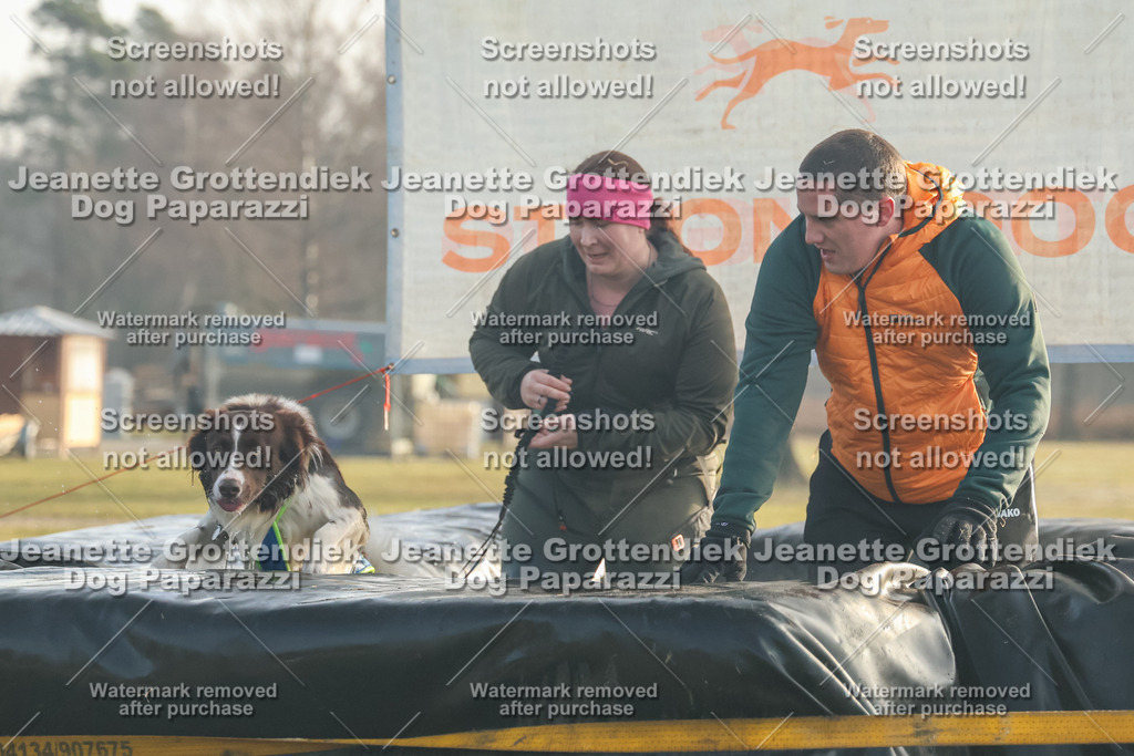 Dog Paparazzi - SD North Sa 830-900-58 | Dog Paparazzi Jeanette Grottendiek Fotografie & Videografie - Realisiert mit Pictrs.com