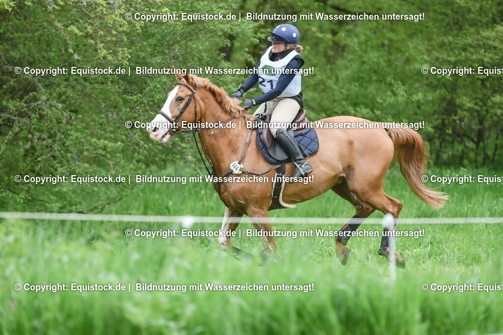 20230513_CCI2_Section2_Gelände_0064 | equistock