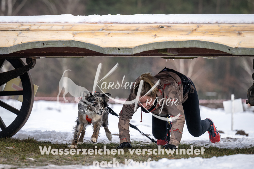 0814_ZZ91037-5 | kk-dogfotos