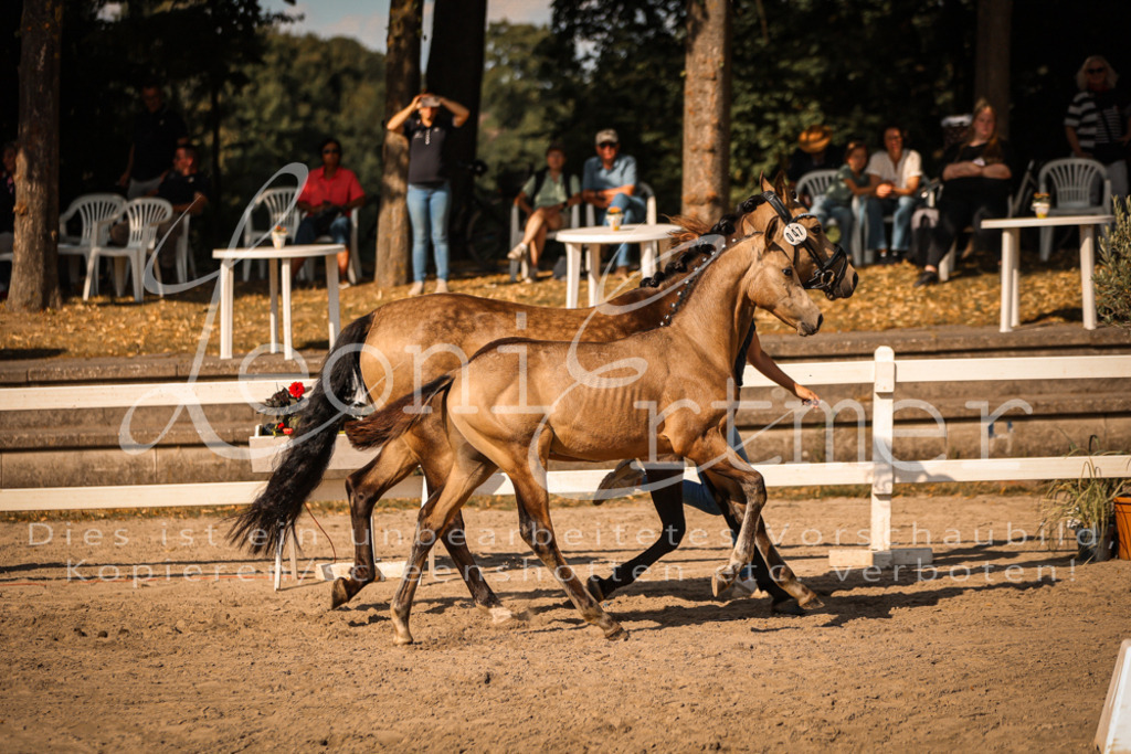 11.DoRP00013 | Leoni Ertmer Photography - Realisiert mit Pictrs.com