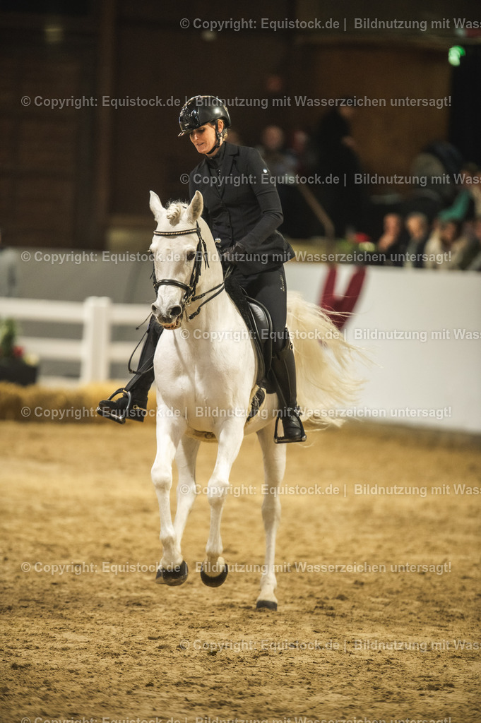 20240302_Hengstvorstellung_Marbach_TOMsPiC_1103-2 | equistock