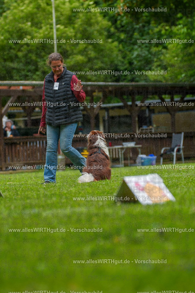 @allesWIRTHgut_Tierfotografie - www.allesWIRTHgut.de - 7R501476 | Professionelle Tierfotografie in Mönchengladbach von Daniel Wirth (allesWIRTHgut). Liebevolle & natürliche Bilder von Hunden & Katzen für unvergessliche Erinnerungen.