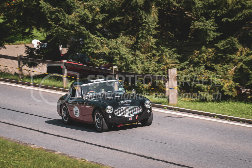 21. Arosa ClassicCar 2025 - 6. =September= 2025 | Felix Lindenmueller aus Meilen (SUI) in einem Austin Healey 3000 MK1 BT7 aus dem Jahre 1959 mit Startnummer 239 am Arosa ClassicCar 2025 in der Kategorie Classic Trophy..@arosaclassiccar, @arosa.official, #arosaclassiccar, #arosa, #76curves, #classiccarBild: Sportfotografie Markus Aeschimann | www.markus-aeschimann.ch - Realisiert mit Pictrs.com
