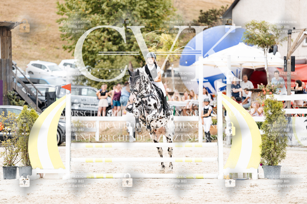 CK908245 | Turnierfotografie Pferdefotografie Trier Rheinland-Pfalz Pferdesport Reitsport Tierfotografie Sportfotografie Pferdevideo Pferdevideografie Equestrianvideography equestrianphotography  - Realisiert mit Pictrs.com
