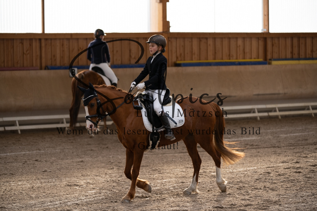 A7V09176 | Pferdefotograf