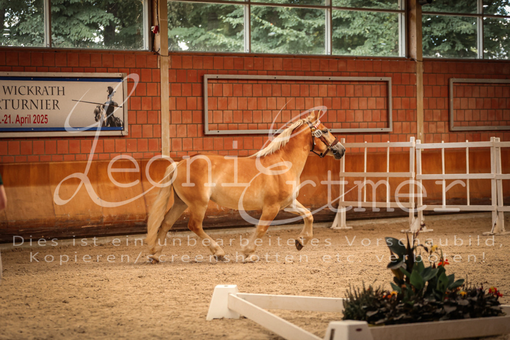 SaFL00208 | Leoni Ertmer Photography - Realisiert mit Pictrs.com