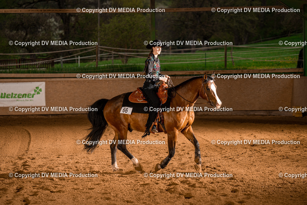 BAL01088 | dv-media-shop - Realisiert mit Pictrs.com