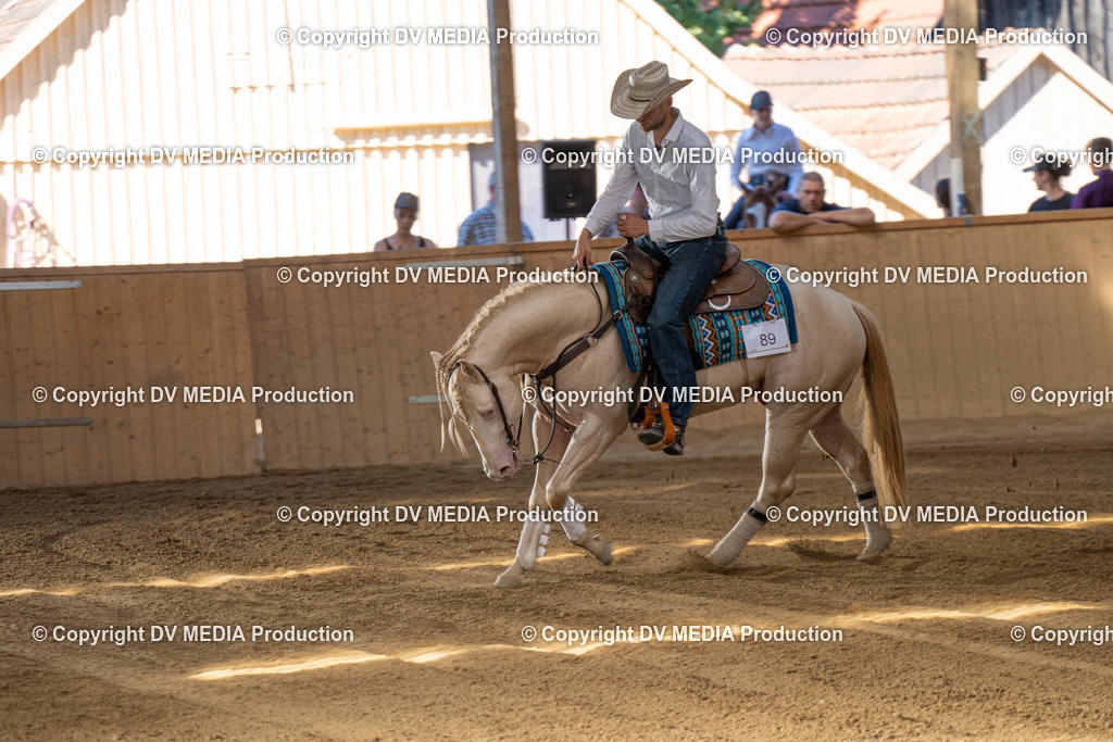 DSC00475 | dv-media-shop - Realisiert mit Pictrs.com