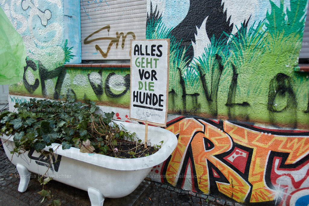 240323_Hundekuss36Bleibt_Hunderunde_39 | Vanessa Kleinwächter - Realisiert mit Pictrs.com