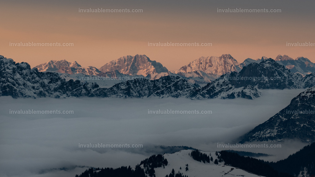 DSC_5488 | invaluablemoments.com - Realisiert mit Pictrs.com