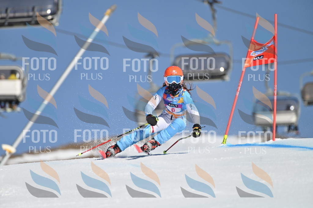 BGV_7661 | holidayphoto