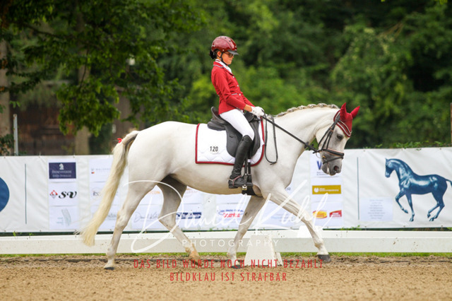 DKP41631 | Turniersportfotografie; Pferdefotografie; Dressurfotografie