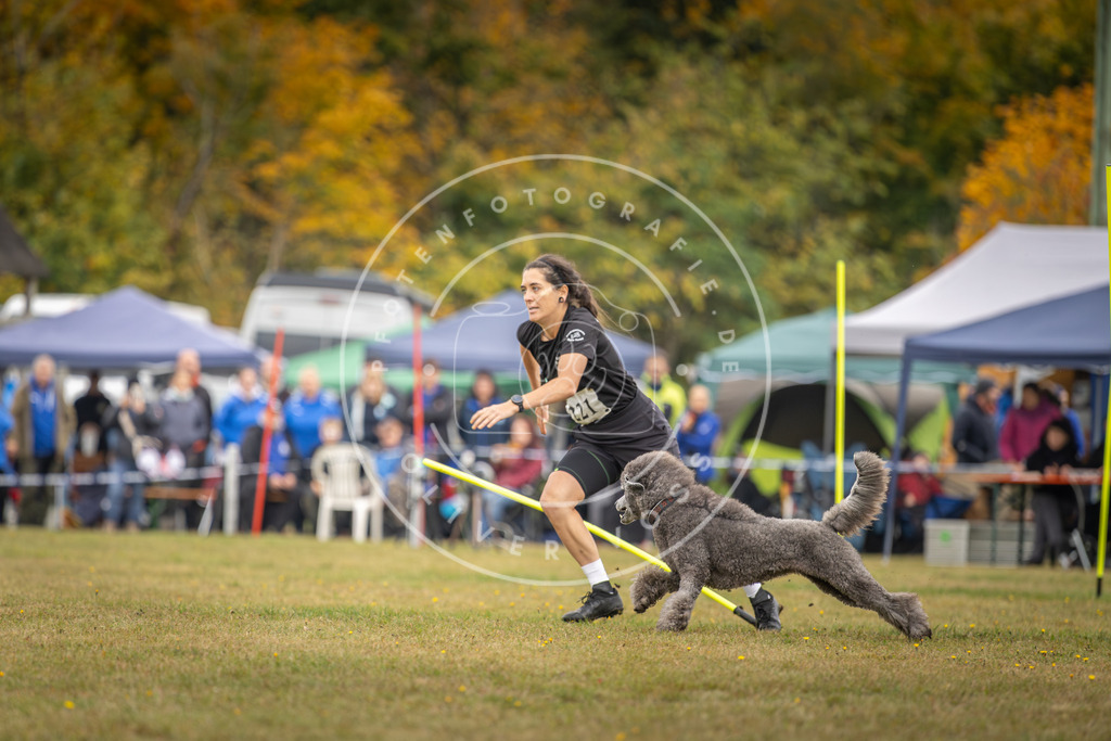 Pfotenfotografie_DV3A3746 | Hundefotografie, Tierfotograf, Pfotenfotografie, Fotoshooting Hund, Hunde Portrait, Hundesport, Hundeportraits, Heideshooting, Hunde, Sportfotograf, Hundefotograf, Turnierhundsport, THS,  - Realisiert mit Pictrs.com