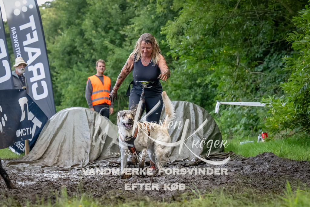 1151_ZZ94590-Bearbeitet | kk-dogfotos