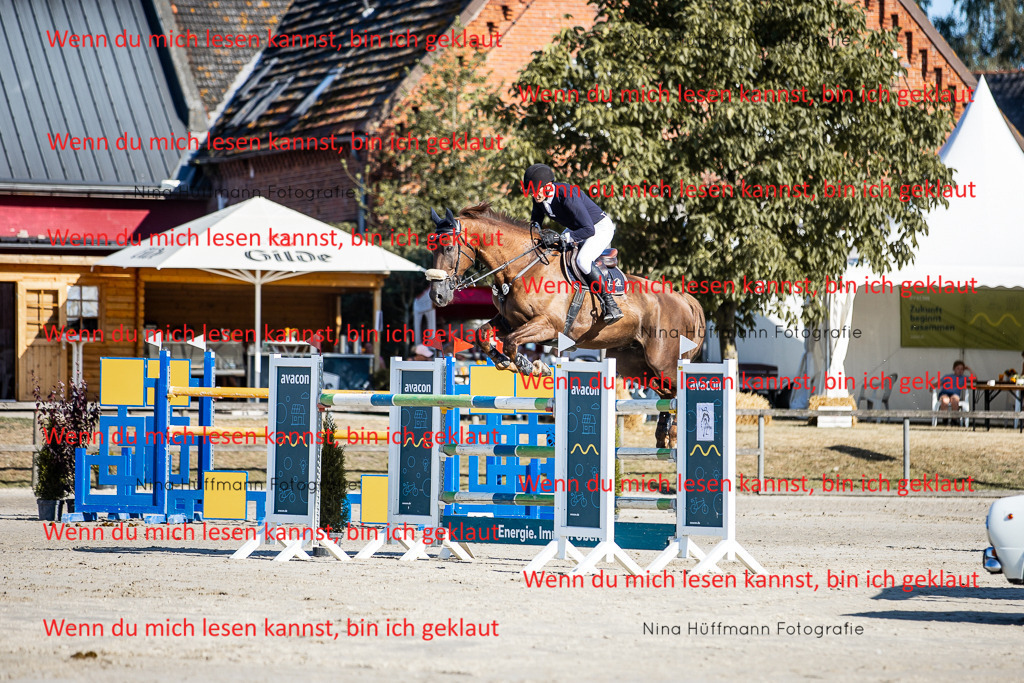 BK1A8578 | Turnierbilder Turnierfotos Nina Hüffmann Turnierfotografie Pferdefotografie Tierzeichnung Haustierzeichnung Pferdezeichnung Hundezeichnung Videograf  - Realisiert mit Pictrs.com
