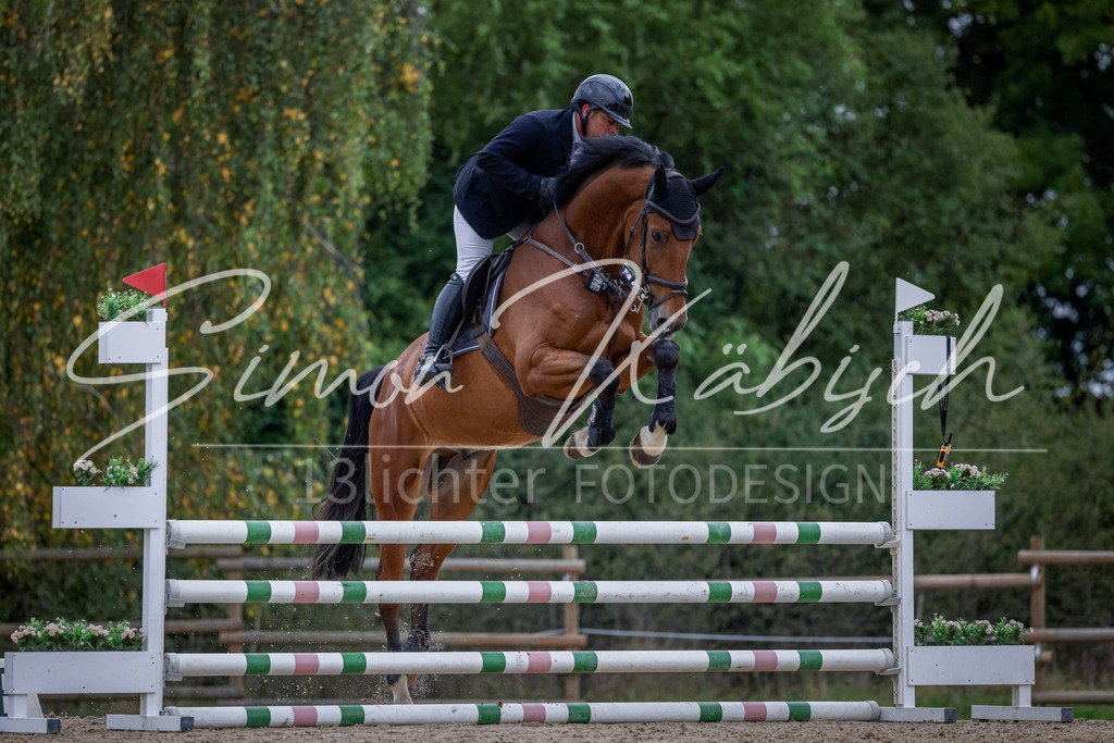 20251012-_3LI4068 | Tierfotografie Pferde, Hunde, Katzen, Haustiere.
Turnierfotografie Reitturniere, Reiten, Springreiten, Dressur in Hanau, dem Main-Kinzig-Kreis und dem Rhein-Main- Gebiet um Frankfurt