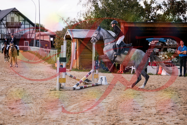 2026_10_03_Siefer-Hof_145129_Z81_30355112 | Professionelle Reitsport-, Turnier- und Eventfotografie von Robert Broda. Galerien mit ausgewählten und bearbeiteten Bildern direkt online ansehen und bestellen.