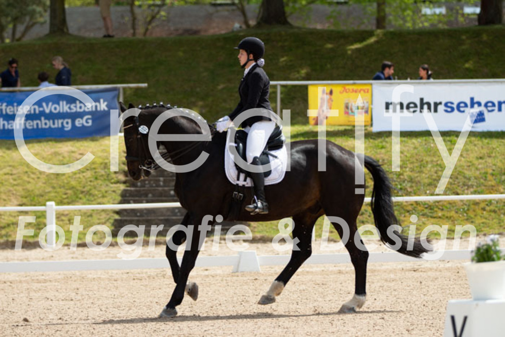 IMG_6315 | Creatify Fotografie