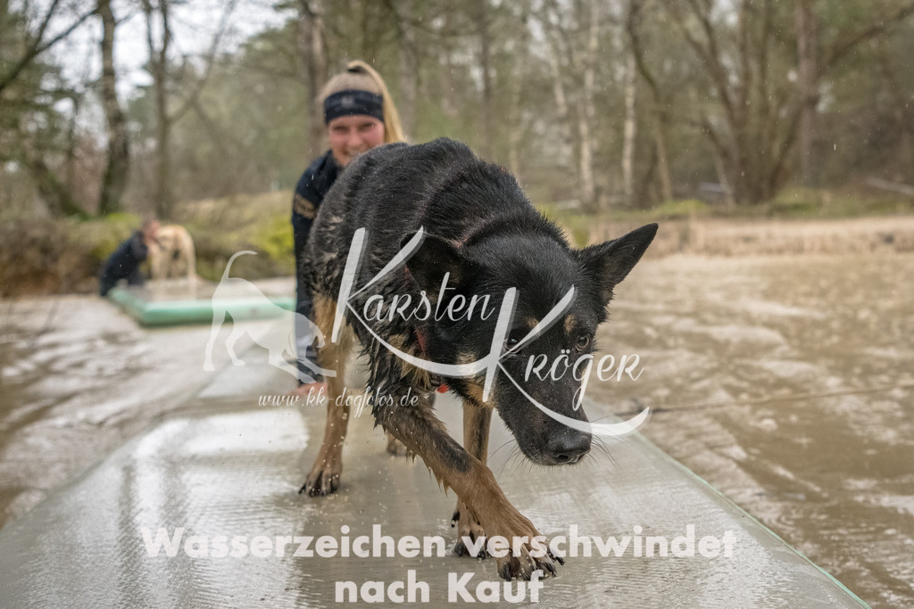 1049_ZZ93511-Bearbeitet | kk-dogfotos