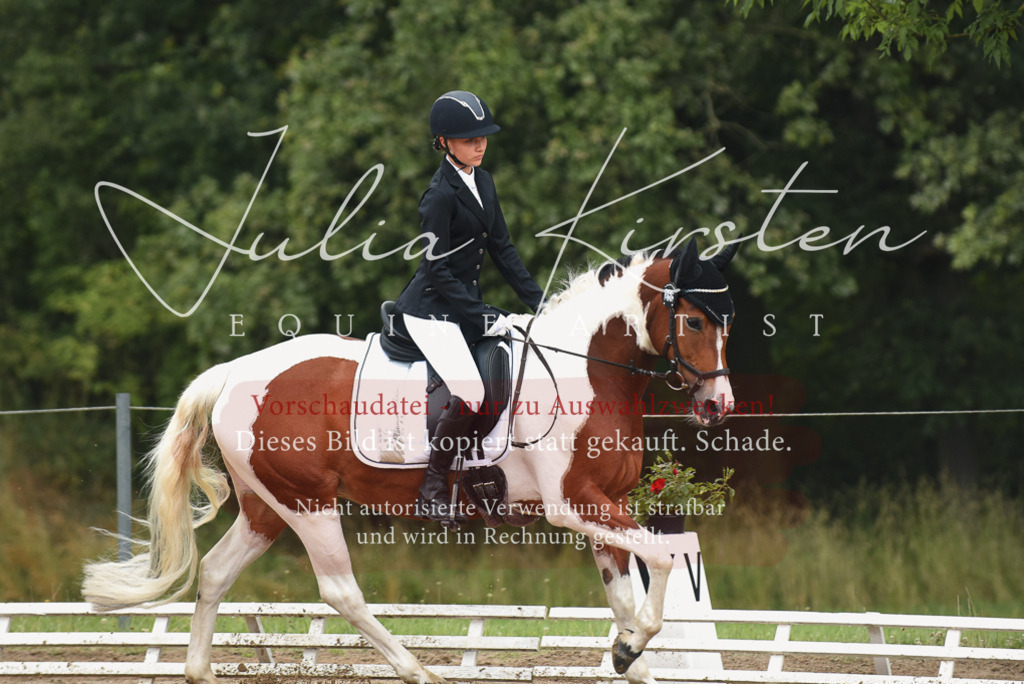 DSC_0164 | Pferde- und Turnierfotografie in Westsachsen. Pferdeportraits, Auftragszeichnungen und intuitive Kunst.